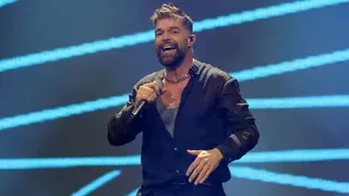 Ricky Martin Shows Up in a Sizzling Mirror Selfie and the Internet Explodes