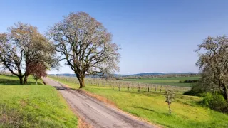 McMinnville’s Queer Renaissance: How Oregon’s Wine Country Is Redefining Small-Town LGBTQ+ Inclusion